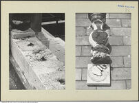 Thumbnail des vierten Ordners