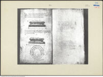 Thumbnail des zweiten Ordners