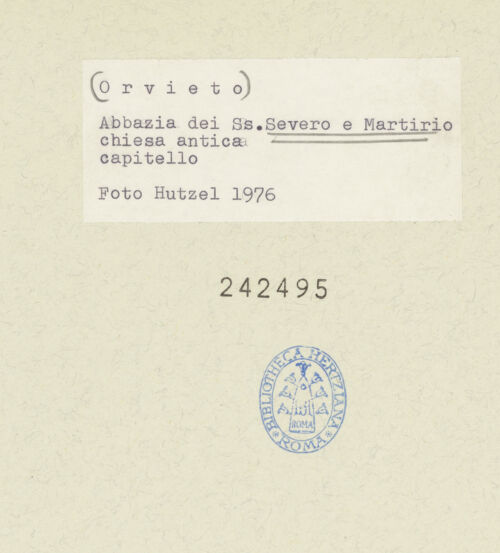 Rückseite von bh242495_recto