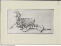 Thumbnail des 11. Ordners