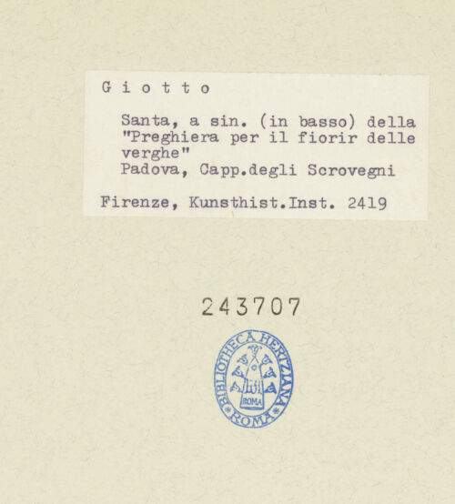 Rückseite von bh243707_recto