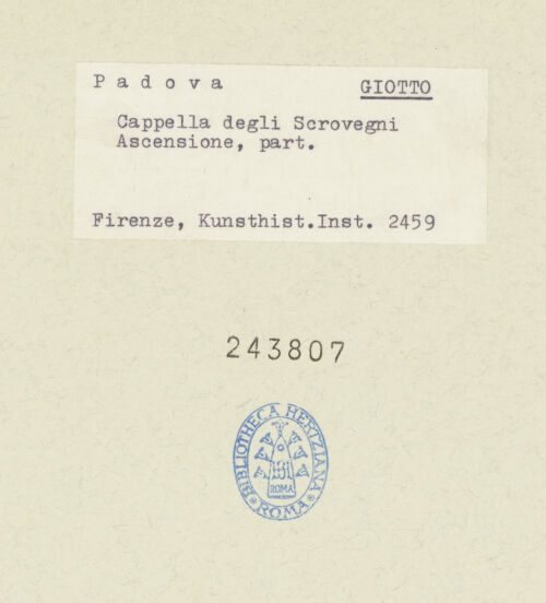 Rückseite von bh243807_recto