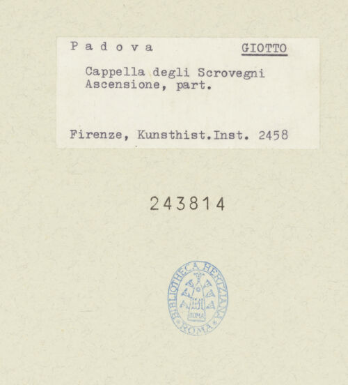 Rückseite von bh243814_recto