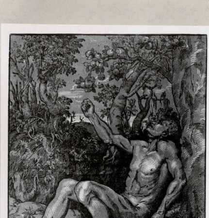 Rückseite von  [http://creativecommons.org/publicdomain/mark/1.0/] ... - , bh244283. Foto.