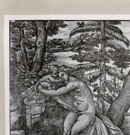 Rückseite von  [http://creativecommons.org/publicdomain/mark/1.0/] ... - , bh244284. Foto.