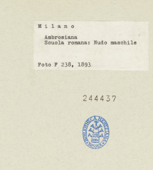 Rückseite von bh244437_recto