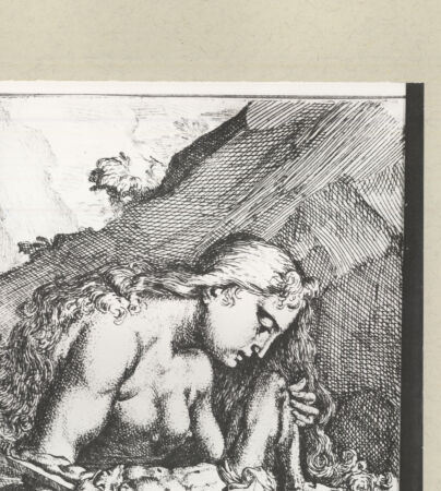 Rückseite von bh246130