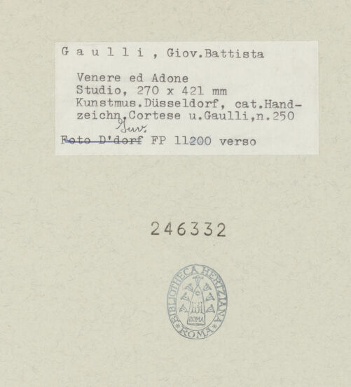 Rückseite von bh246332_recto