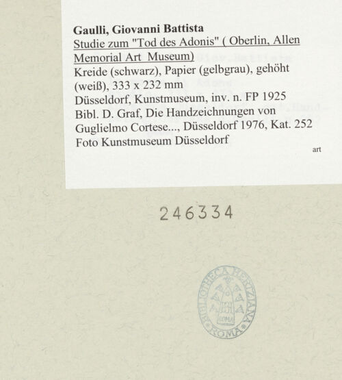 Rückseite von bh246334_recto