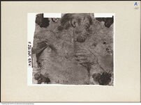 Thumbnail des dritten Ordners