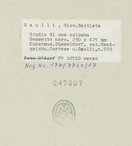 Rückseite von bh247807_recto