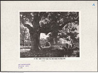 Thumbnail des dritten Ordners