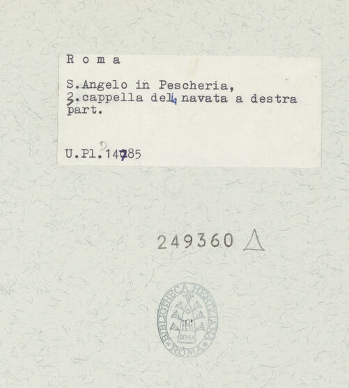 Rückseite von bh249360_recto