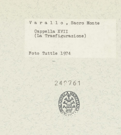 Rückseite von bh249761_recto