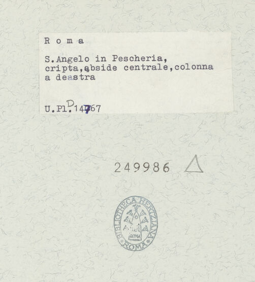 Rückseite von bh249986_recto