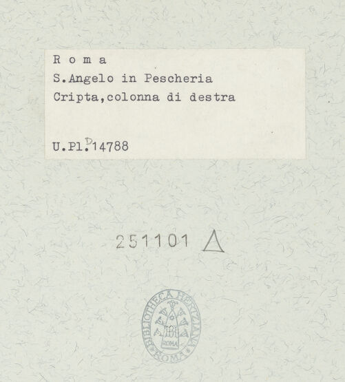 Rückseite von bh251101_recto