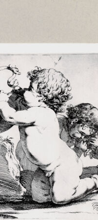 Rückseite von bh254121