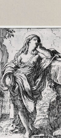 Rückseite von bh254125