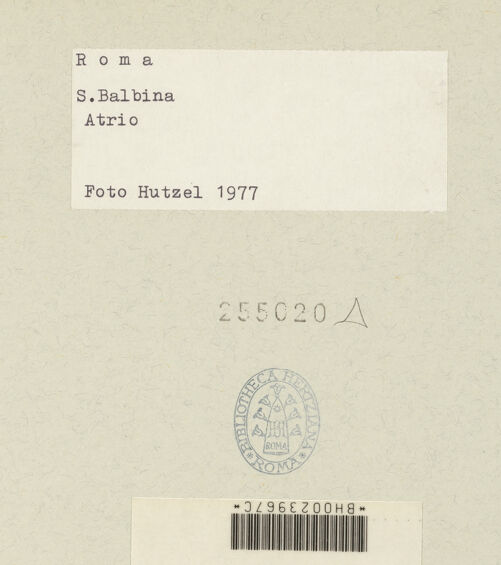 Rückseite von bh255020_recto