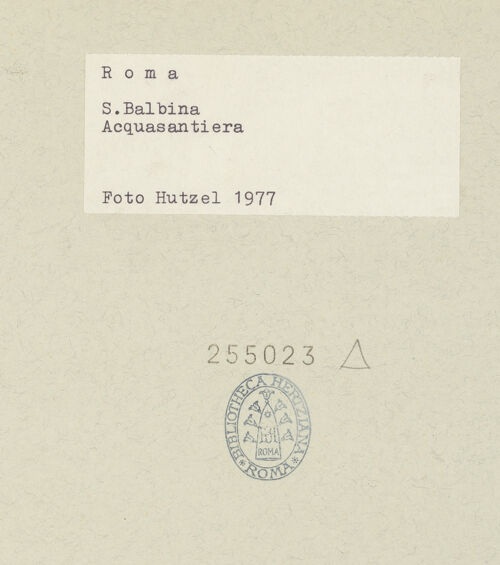 Rückseite von bh255023_recto