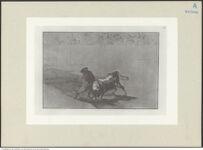 Thumbnail des 20. Ordners