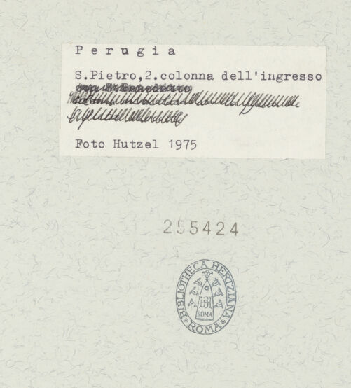 Rückseite von bh255424_recto