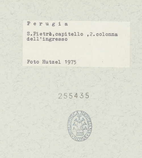 Rückseite von bh255435_recto