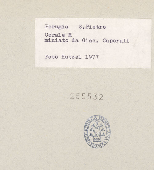 Rückseite von bh255532_recto