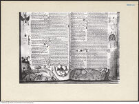 Thumbnail des fünften Ordners