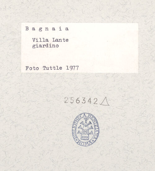 Rückseite von bh256342_recto