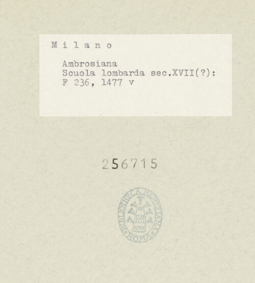 Rückseite von bh256715_recto