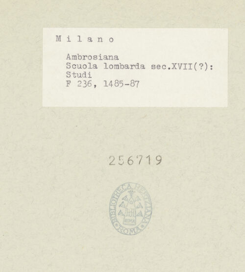 Rückseite von bh256719-1_bh256719-2_recto