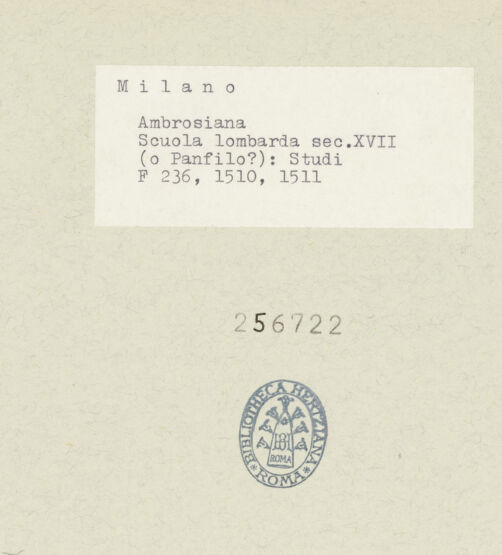 Rückseite von bh256722-1_bh256722-2_recto