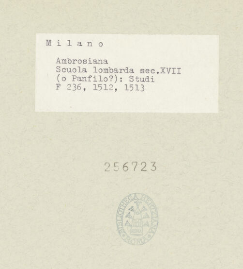 Rückseite von bh256723-1_bh256723-2_recto