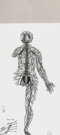 Rückseite von  [http://creativecommons.org/publicdomain/mark/1.0/] ... - , bh258099. Foto.