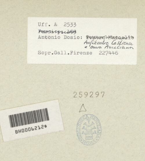 Rückseite von bh259297_recto