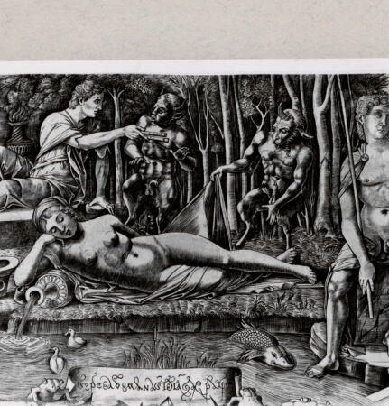 Rückseite von  [http://creativecommons.org/publicdomain/mark/1.0/] ... - , bh259874. Foto.