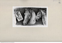 Thumbnail für 102-B-XIII-p-326-331