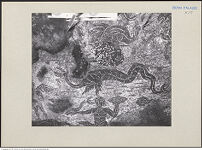 Thumbnail des vierten Ordners