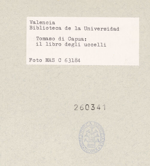 Rückseite von bh260341_recto