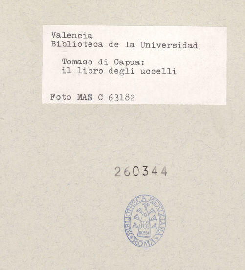 Rückseite von bh260344_recto