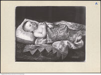 Thumbnail des ersten Ordners