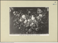 Thumbnail des 7. Ordners