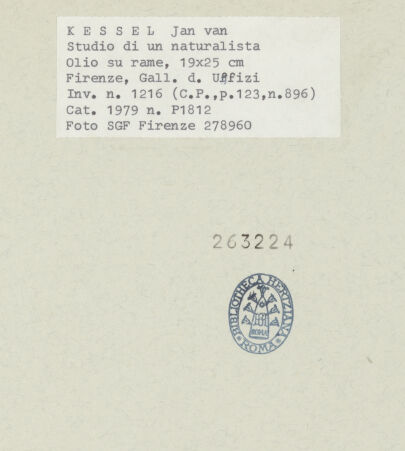 Rückseite von bh263224_recto