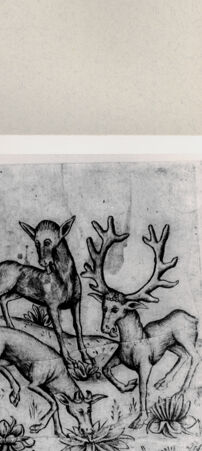 Rückseite von  [http://creativecommons.org/publicdomain/mark/1.0/] ... - , bh263750. Foto.