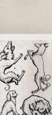 Rückseite von  [http://creativecommons.org/publicdomain/mark/1.0/] ... - , bh263809. Foto.