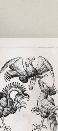 Rückseite von  [http://creativecommons.org/publicdomain/mark/1.0/] ... - , bh263811. Foto.