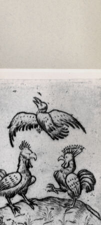 Rückseite von  [http://creativecommons.org/publicdomain/mark/1.0/] ... - , bh263812. Foto.