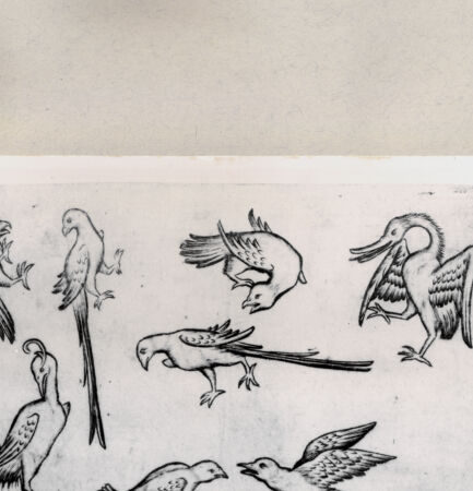 Rückseite von  [http://creativecommons.org/publicdomain/mark/1.0/] ... - , bh263813. Foto.