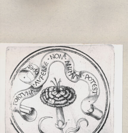 Rückseite von  [http://creativecommons.org/publicdomain/mark/1.0/] ... - , bh263934. Foto.